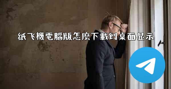纸飞機電腦版怎麼下載到桌面显示