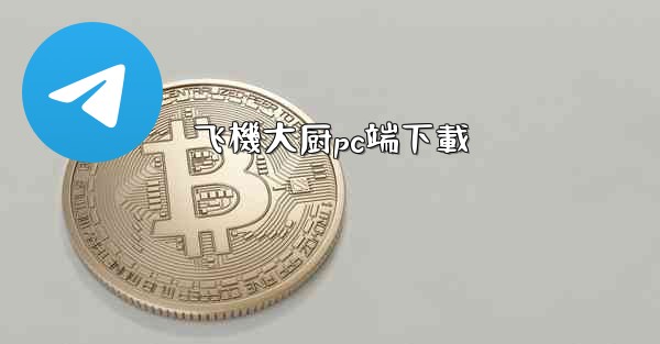 飞機大厨pc端下載