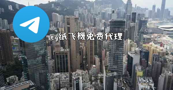 tg纸飞機免费代理