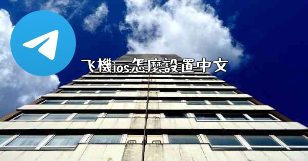 飞機ios怎麼設置中文