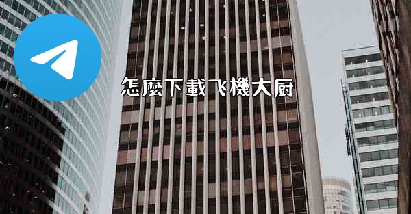 怎麼下載飞機大厨