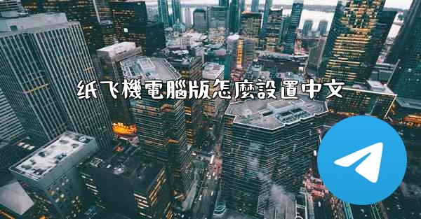 纸飞機電腦版怎麼設置中文