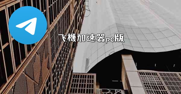 飞機加速器pc版