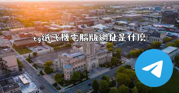 tg纸飞機電腦版網址是什麼
