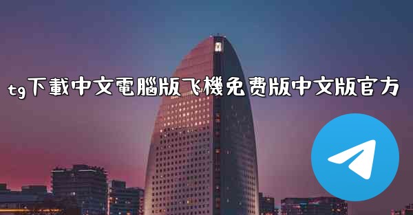 tg下載中文電腦版飞機免费版中文版官方