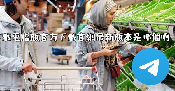 飞機下載電腦版官方下載官網最新版本是哪個啊