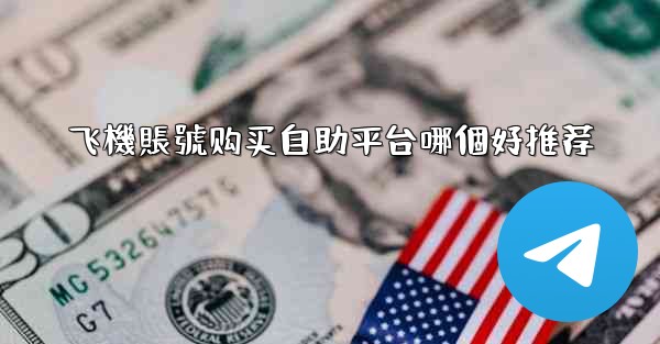 飞機賬號购买自助平台哪個好推荐