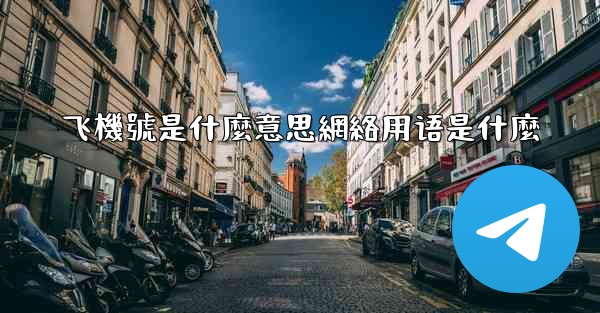 飞機號是什麼意思網絡用语是什麼