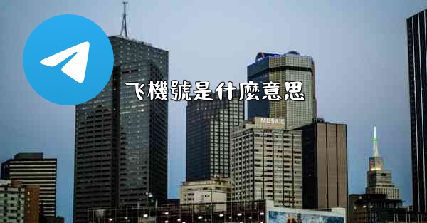 飞機號是什麼意思