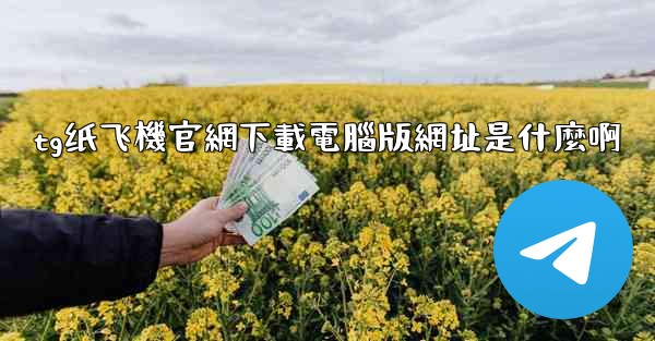 tg纸飞機官網下載電腦版網址是什麼啊