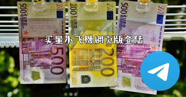 买量小飞機網页版登陆