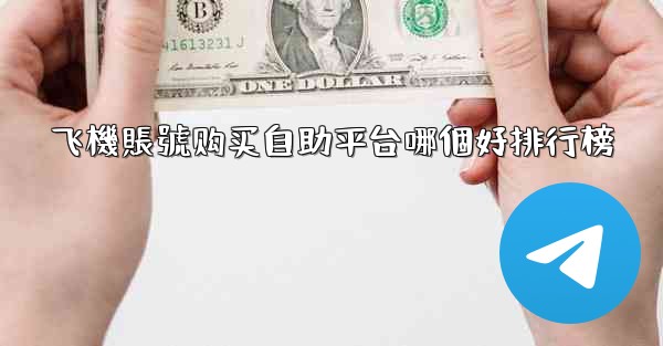 飞機賬號购买自助平台哪個好排行榜