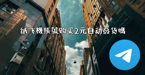 纸飞機賬號购买2元自动發货嗎