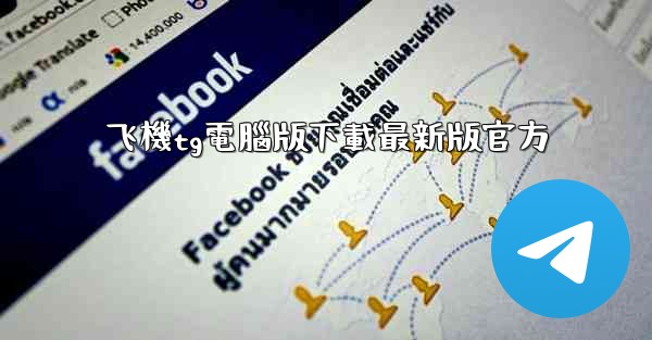 飞機tg電腦版下載最新版官方