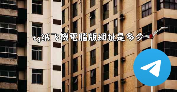 tg纸飞機電腦版網址是多少