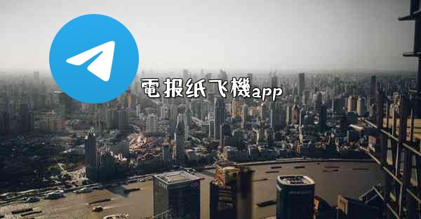 電报纸飞機app
