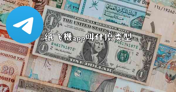 纸飞機app叫什麼类型
