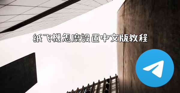 纸飞機怎麼設置中文版教程