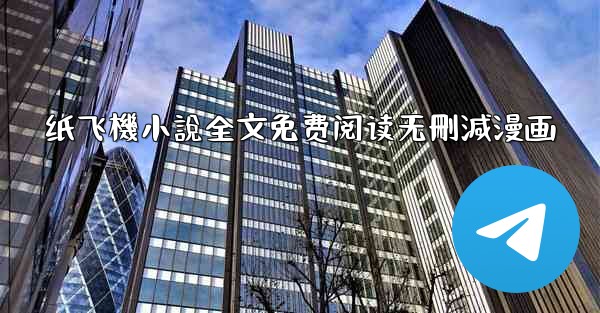 纸飞機小說全文免费阅读无刪減漫画