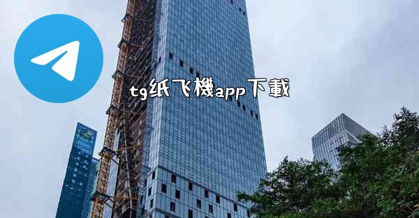 tg纸飞機app下載