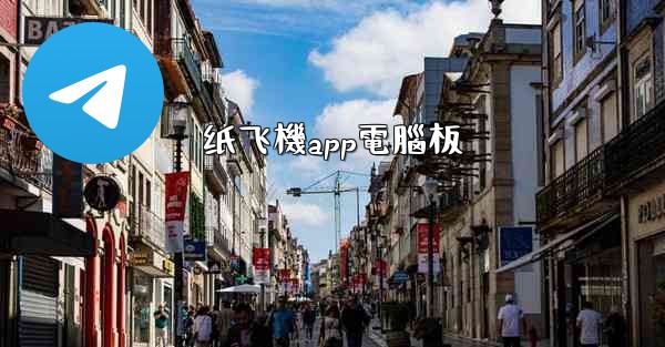 纸飞機app電腦板