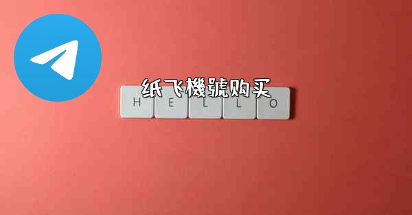 纸飞機號购买