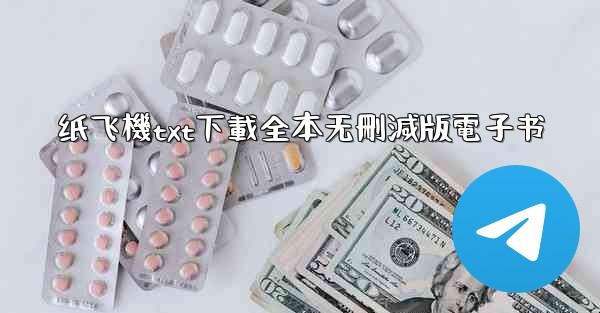 纸飞機txt下載全本无刪減版電子书