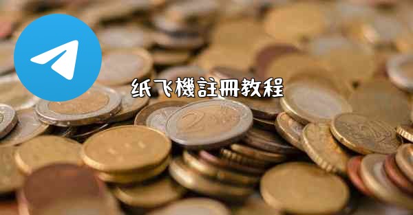 纸飞機註冊教程