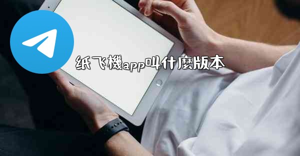 纸飞機app叫什麼版本