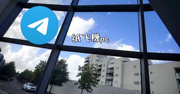 纸飞機pc