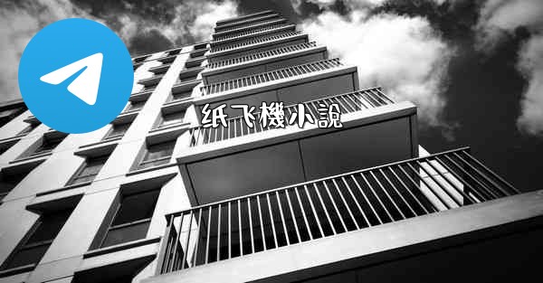 纸飞機小說