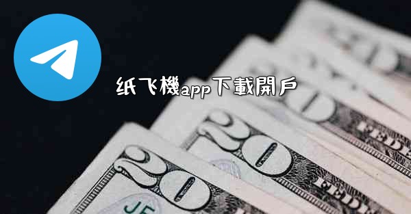 纸飞機app下載開戶