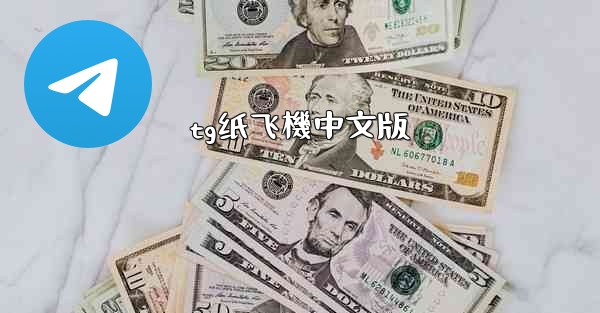 tg纸飞機中文版