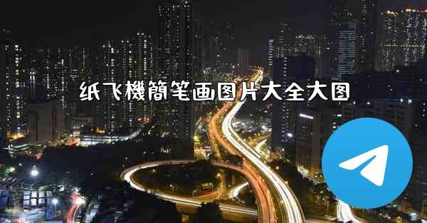 纸飞機簡笔画图片大全大图