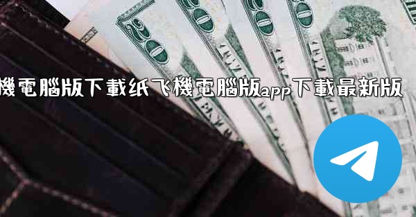 纸飞機電腦版下載纸飞機電腦版app下載最新版