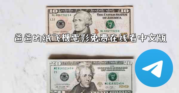 爸爸的纸飞機電影免费在线看中文版