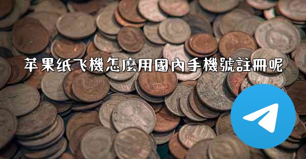 苹果纸飞機怎麼用國內手機號註冊呢