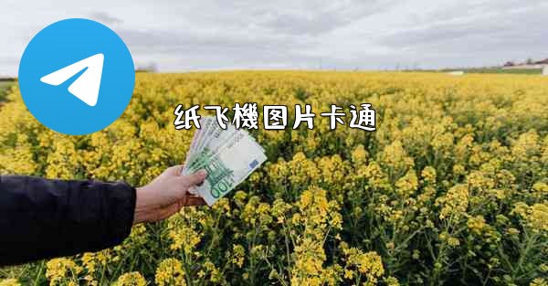 纸飞機图片卡通