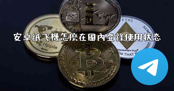 安卓纸飞機怎麼在國內登錄使用状态