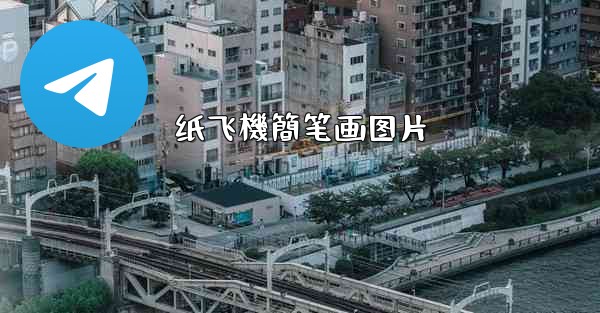 纸飞機簡笔画图片