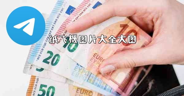 纸飞機图片大全大图