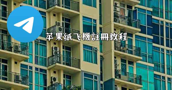 苹果纸飞機註冊教程