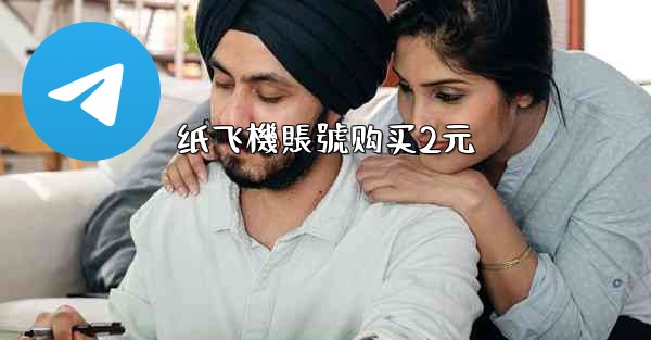 纸飞機賬號购买2元