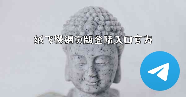 纸飞機網页版登陆入口官方