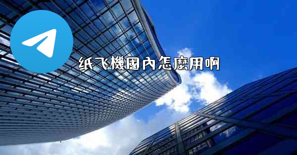 纸飞機國內怎麼用啊