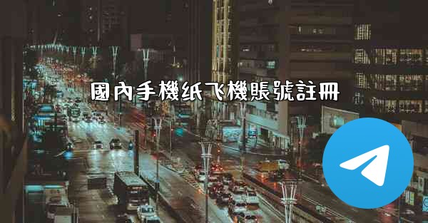 國內手機纸飞機賬號註冊