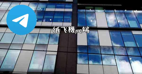 纸飞機pc端