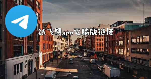 纸飞機app電腦版链接