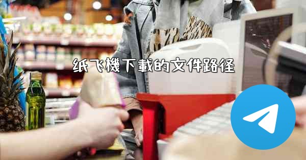 纸飞機下載的文件路径