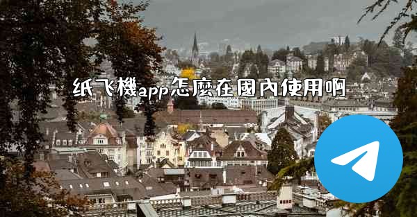 纸飞機app怎麼在國內使用啊